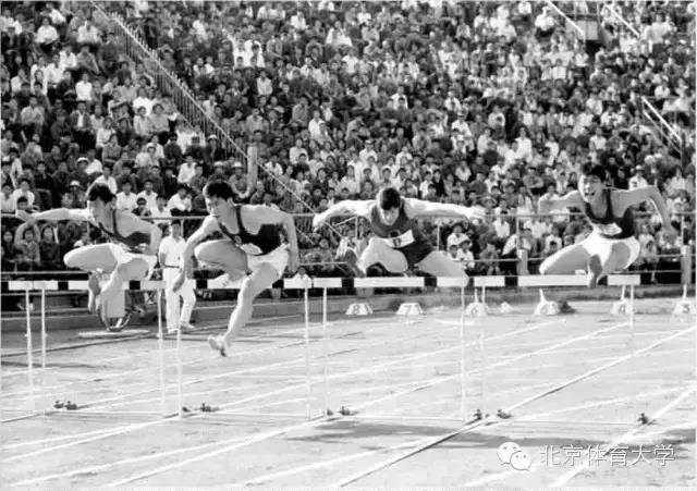 bee850e9760a4c3d9fffa91dae54263c.jpg bee850e9760a4c3d9fffa91dae54263c.jpg